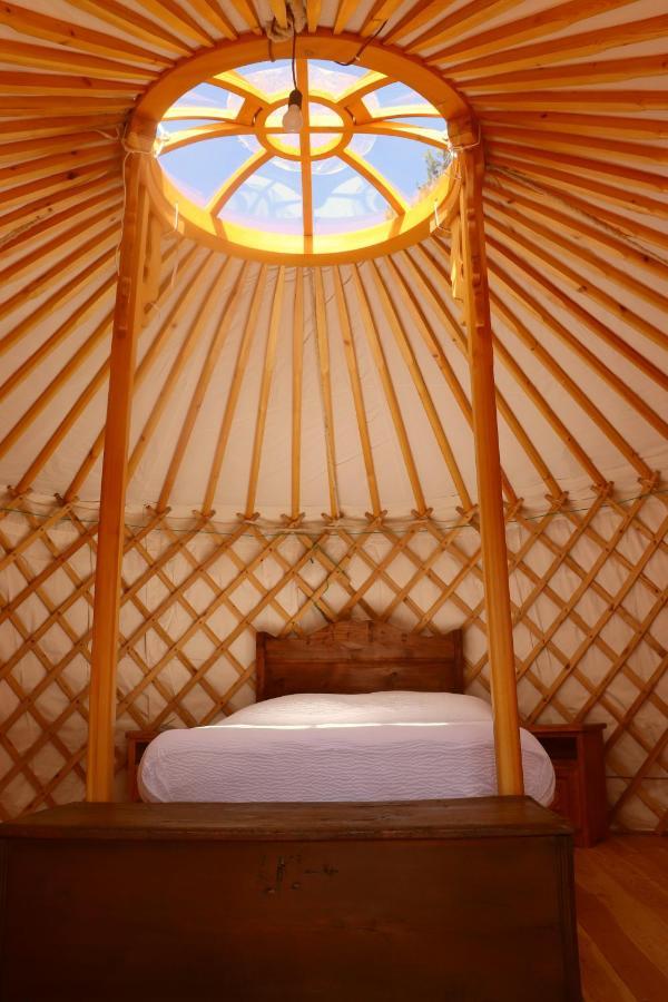 Glamping la Cascina d'Orleans Hotel Saint-Pierre Eksteriør billede